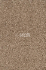 Ковролин AW Vivendi Punch 38 фото 1 | FLOORDEALER